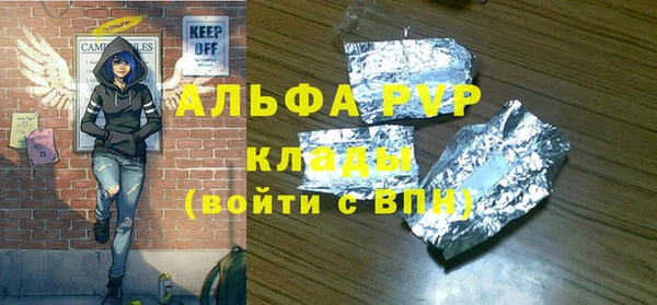 молекула духа Козловка
