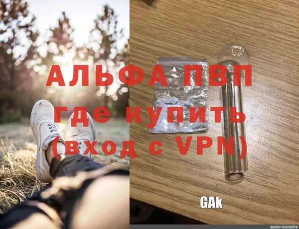 гидра Алексин