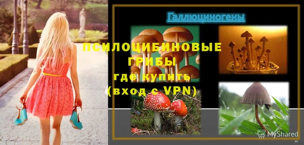 амф Алзамай