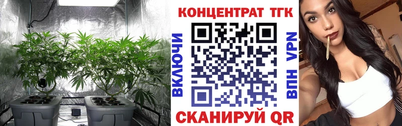 наркотики  Аргун  Дистиллят ТГК концентрат 