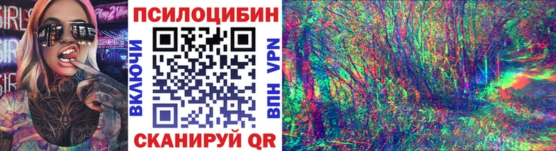 Псилоцибиновые грибы GOLDEN TEACHER  Аргун 